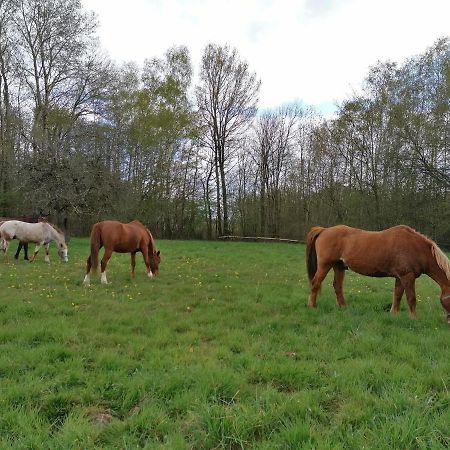 Gite En Creuse Moutier-Malcard Luaran gambar